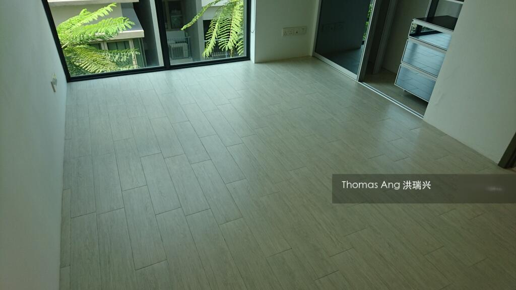 7 on Chapel (D15), Apartment #273125671